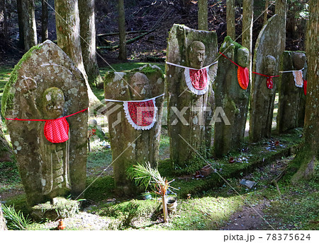 高野山奥之院の石仏 高野山奥之院の石仏 78375624