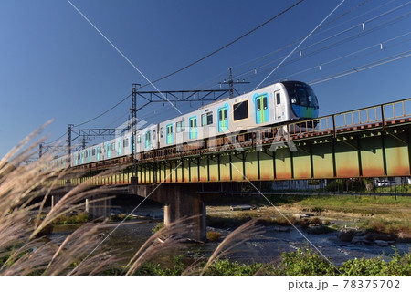 雲一つ無い秋の快晴、ススキの穂を前ボケに入間川鉄橋を渡る西武線最新型40000系電車を撮る 78375702