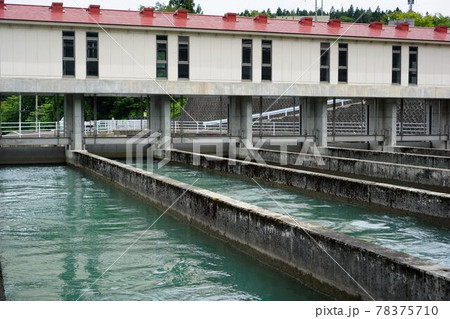 上水用の水路 78375710