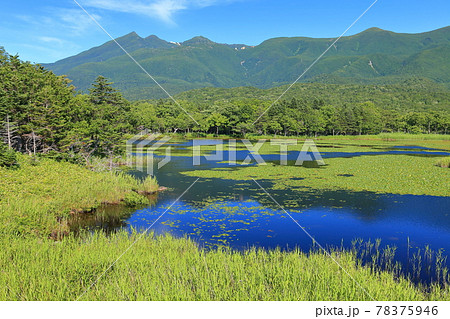 【北海道】晴天下の知床五湖 78375946