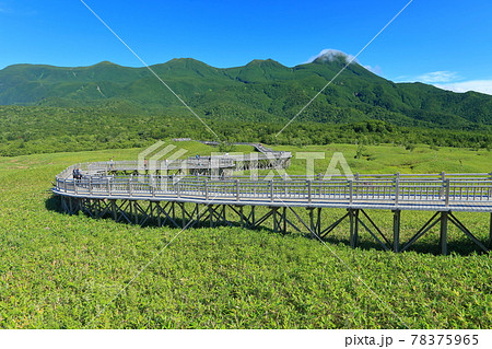 【北海道】盛夏の知床連峰 78375965