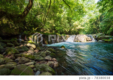 新緑の頃菊池渓谷の美しい風景 新緑の頃菊池渓谷の美しい風景 78380038