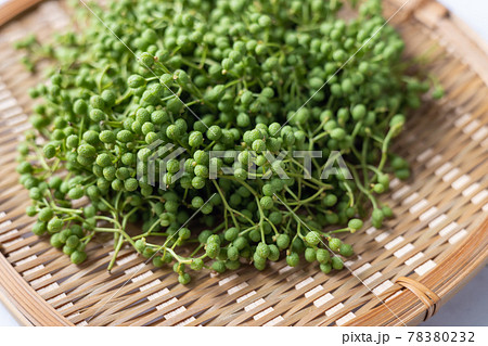 ザルに盛った実山椒 78380232