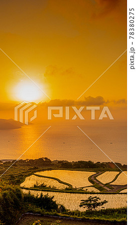 東後畑棚田　夕日 78380275