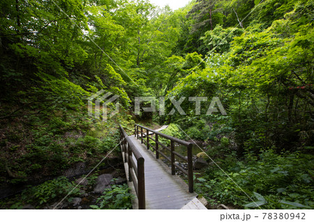 《宮城県》鬼首・地獄谷遊歩道 《宮城県》鬼首・地獄谷遊歩道 78380942