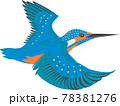 カワセミ 78381276