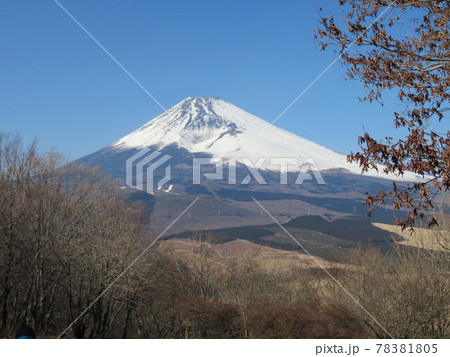 愛鷹山から見た富士山 愛鷹山から見た富士山 78381805
