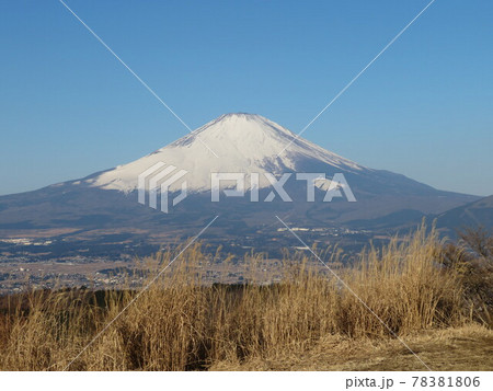 御殿場から見た富士山 御殿場から見た富士山 78381806