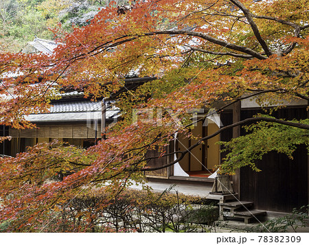 北鎌倉・明月院 本堂後庭園の紅葉 北鎌倉・明月院 本堂後庭園の紅葉 78382309