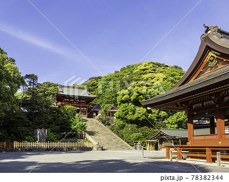 鎌倉・鶴岡八幡宮 本宮と舞殿 鎌倉・鶴岡八幡宮 本宮と舞殿 78382344