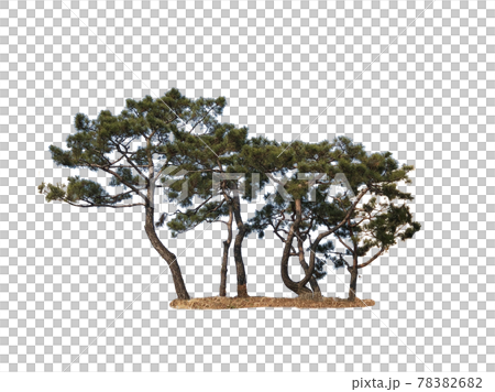 木 木材 緑 78382682