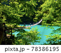 寸又峡夢の吊り橋とエメラルドグリーンの湖 78386195