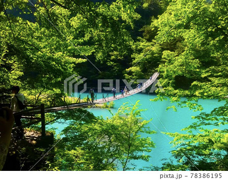 寸又峡夢の吊り橋とエメラルドグリーンの湖 78386195