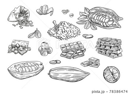 Chocolate elements hand drawn vector illustration collection 78386474