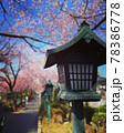 桜並木と灯篭と青空 78386778