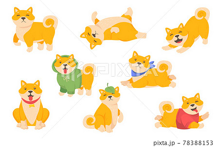 Funny akita puppy set Funny akita puppy set 78388153