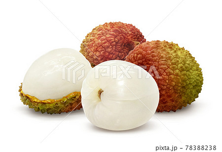 ライチ レイシ イラスト リアル セットのイラスト素材 78