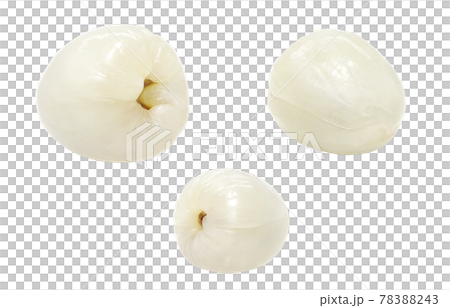 Litchi Reishi Illustration Real Contents 78388243