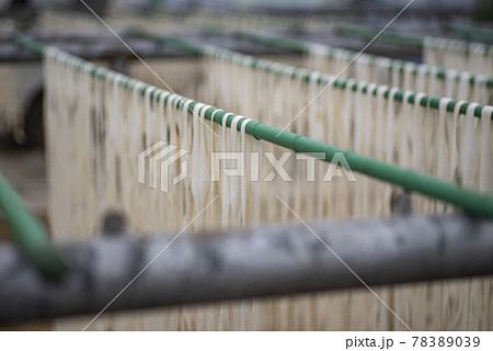 かんぴょう農家　かんぴょう剥き　干瓢　野菜　農業　栽培　栃木　 78389039