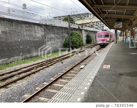 流山鉄道「さくら」 流山鉄道「さくら」 78391546