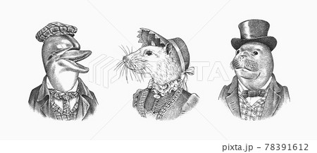 Seal and White Mouse and Dolphin in hat and suit. Victorian woman and man. Marine mammal. Fashion Seal and White Mouse and Dolphin in hat and suit. Victorian woman and man. Marine mammal. Fashion 78391612