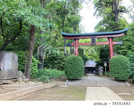 新緑の三輪茂侶神社 78391692
