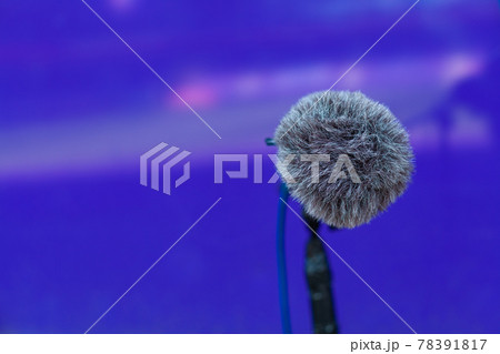 directional microphone on a football field to record the sound of a match 78391817