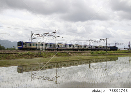 都内へ運ばれる横須賀・総武快速線E235系(新潟県内) 都内へ運ばれる横須賀・総武快速線E235系(新潟県内) 78392748