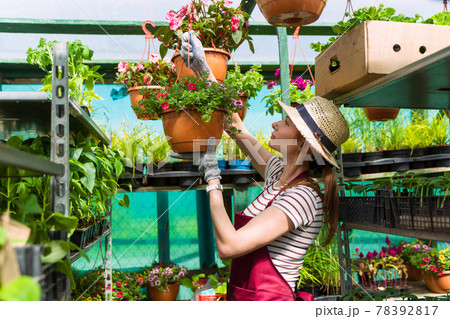 Woman gardener in hat and gloves works with flowers in the greenhouse. Woman gardener in hat and gloves works with flowers in the greenhouse. 78392817