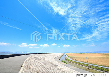 堤防と麦秋の筑後平野 堤防と麦秋の筑後平野 78393333