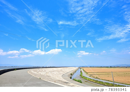 堤防と麦秋の筑後平野 堤防と麦秋の筑後平野 78393341