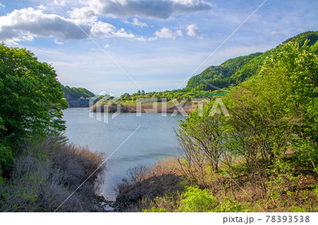 もみじ谷大吊橋 塩原ダム湖 春の景色 もみじ谷大吊橋 塩原ダム湖 春の景色 78393538