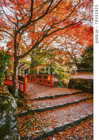 京都大原　津川に架かる「茅穂橋」「未明橋」 78393923