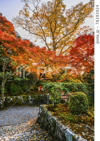 京都大原　法華堂入口の紅葉 78393924