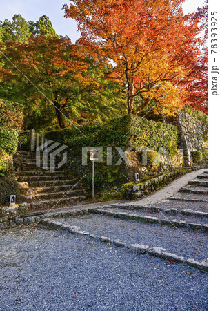 京都大原 法華堂入口の紅葉 京都大原 法華堂入口の紅葉 78393925