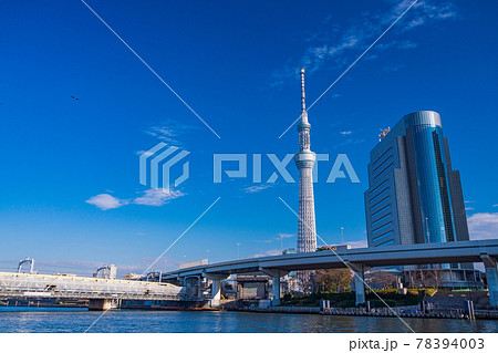 （東京都）隅田公園付近　12月 78394003