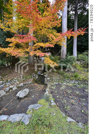 京都大原　魚山大原寺勝林院　境内 78394020