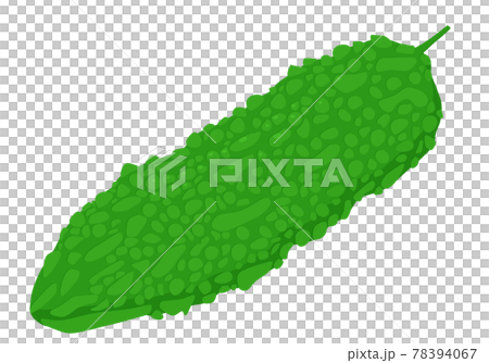 苦瓜 苦瓜 78394067