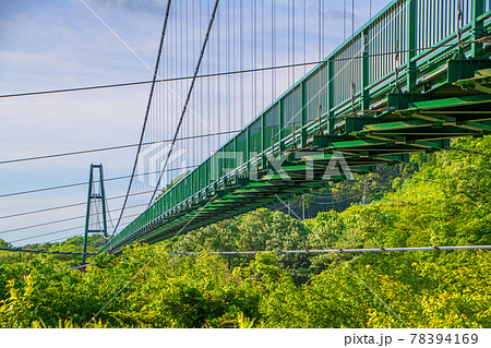 もみじ谷大吊橋　春の景色　　　 78394169