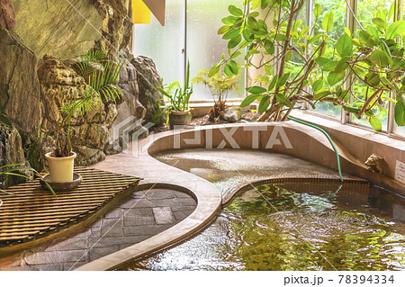 [国内] 岩と葉っぱに囲まれた旅館の室内温泉 78394334