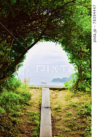 海への道 海への道 78394447
