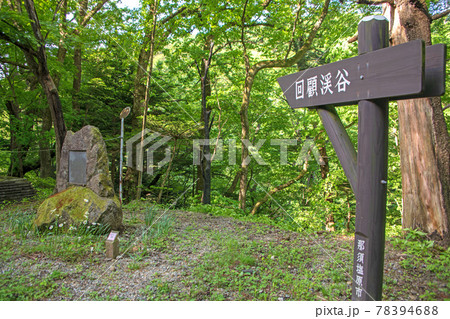 塩原渓谷遊歩道付近 春の景色 塩原渓谷遊歩道付近 春の景色 78394688