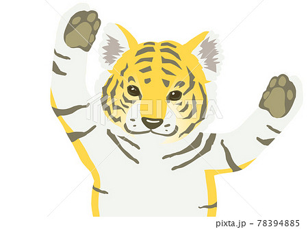 かわいい虎のこどもが仰向けで手招きするベクターイラストのイラスト素材 7945