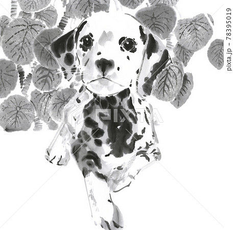 黒斑の犬と植物 墨絵イラスト のイラスト素材