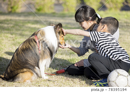 公園でペット(犬)にご褒美のおやつをあげる子供 公園でペット(犬)にご褒美のおやつをあげる子供 78395194