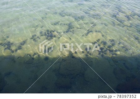 オマーンのマスカットのウニだらけの海 78397352