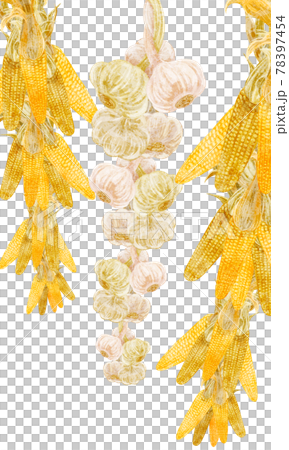 Hand-painted watercolor-style illustration of hanging corn and garlic 78397454