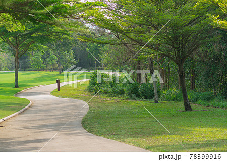 pathway and beautiful trees track for running or walking relax in the park on green grass field on the side of the golf course 78399916