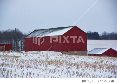 アメリカ　ニューヨーク州　自然　冬　寒い　赤い小屋 78401336