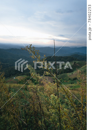 village in the mountains in asia 78402253